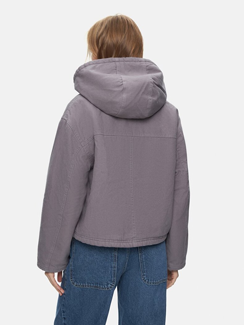 Purple Jacket