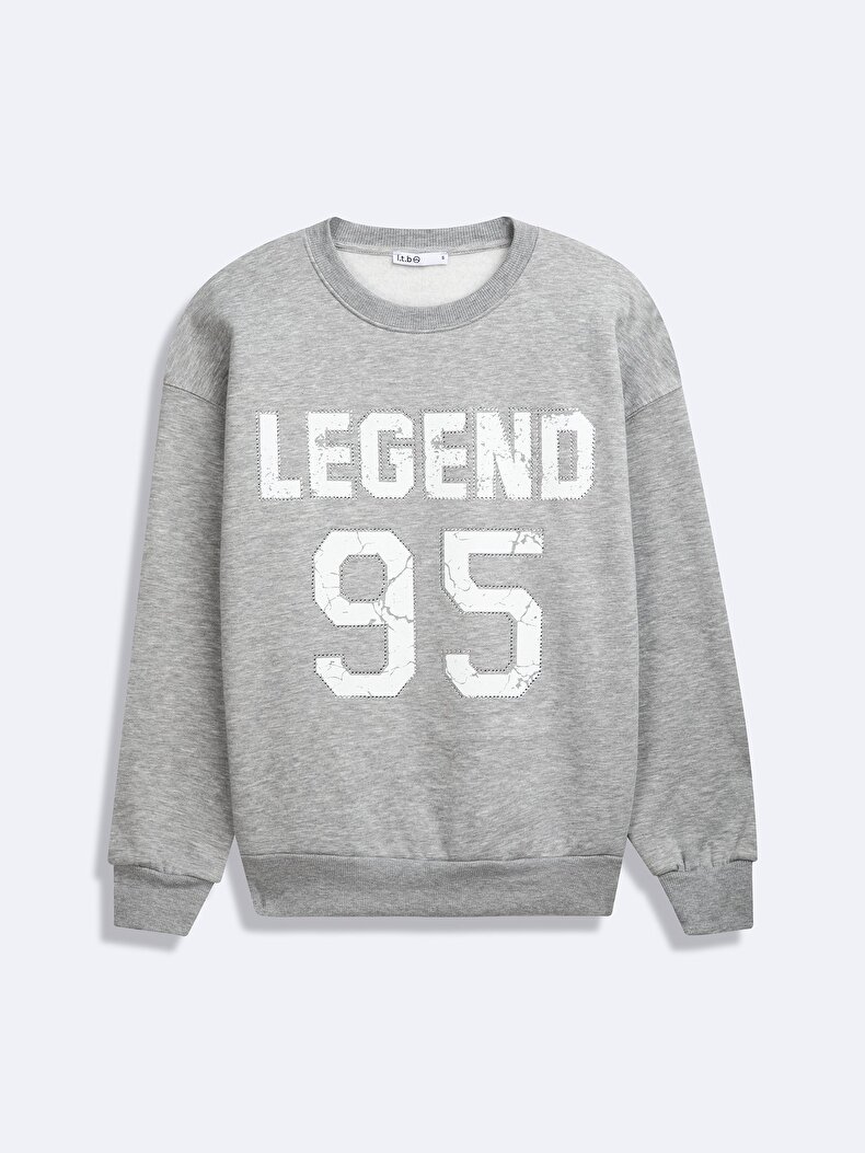 Long Sleeve Crew Neck Print With Print Grey Sweatshirt