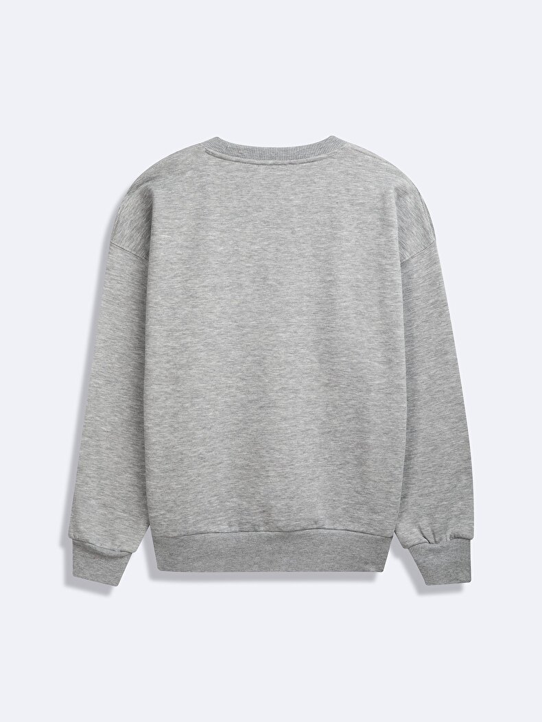 Long Sleeve Crew Neck Print With Print Grey Sweatshirt