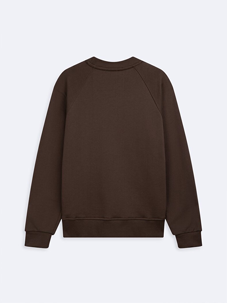 Brown Sweatshirt