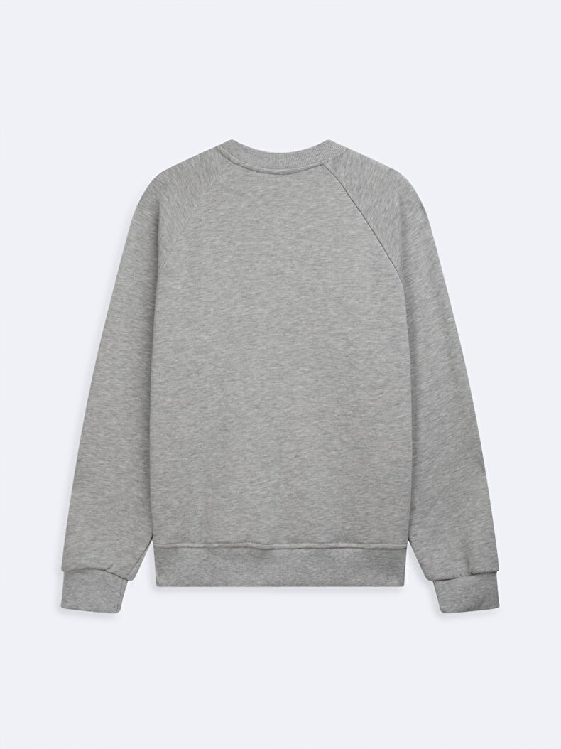 Grey Sweatshirt