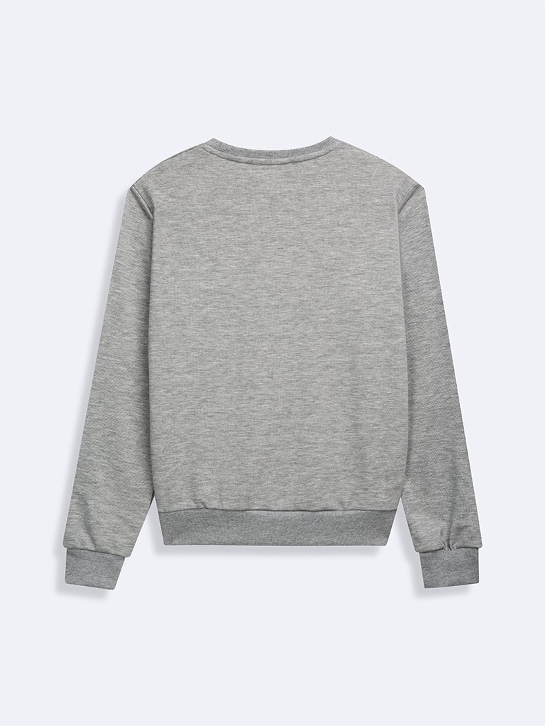 Gri Sweatshırt