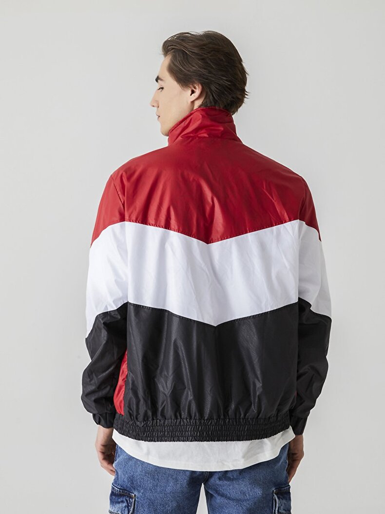 Striped Print Jacket