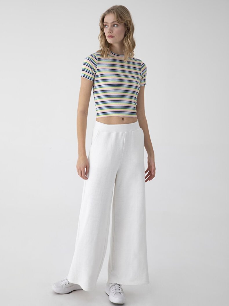 Striped Print Cropped T-shirt