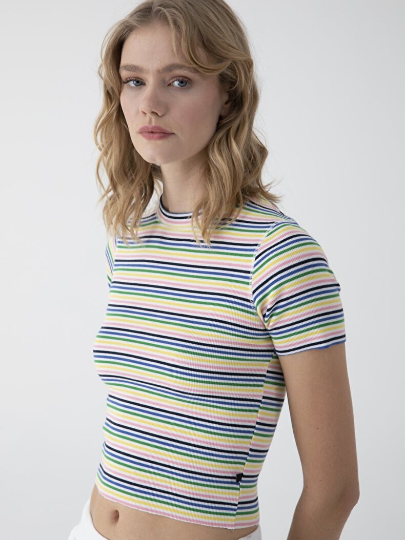Striped Print Cropped T-shirt