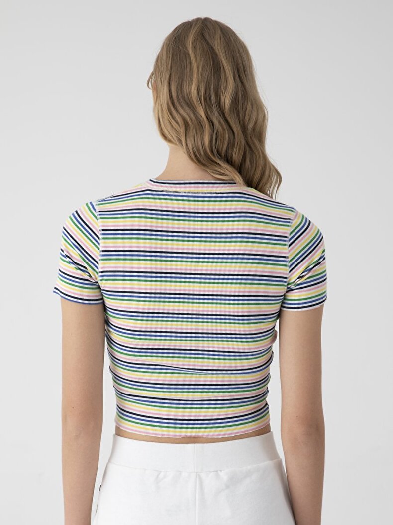 Striped Print Cropped T-shirt