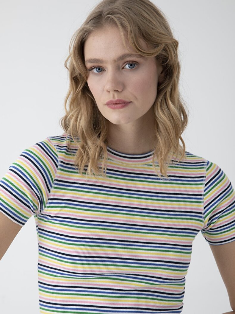 Striped Print Cropped T-shirt