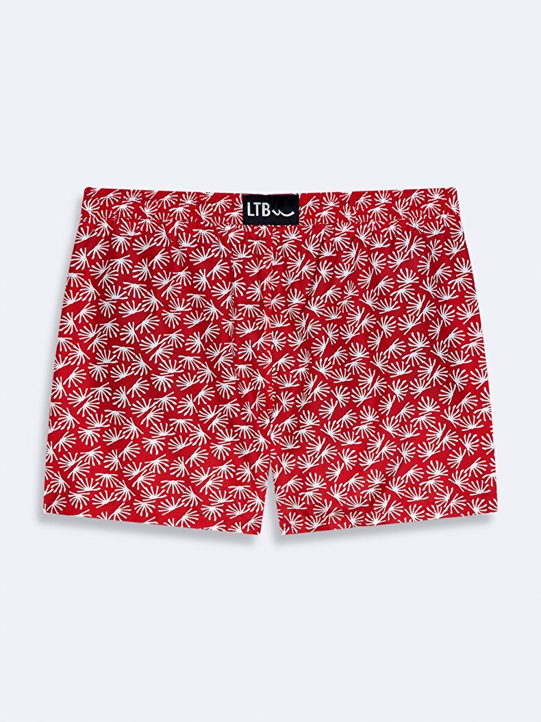 Sea Shorts