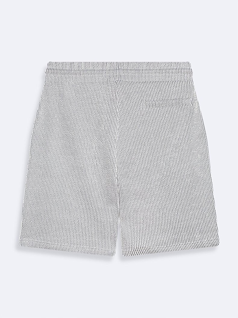 Textured Striped Print Shorts