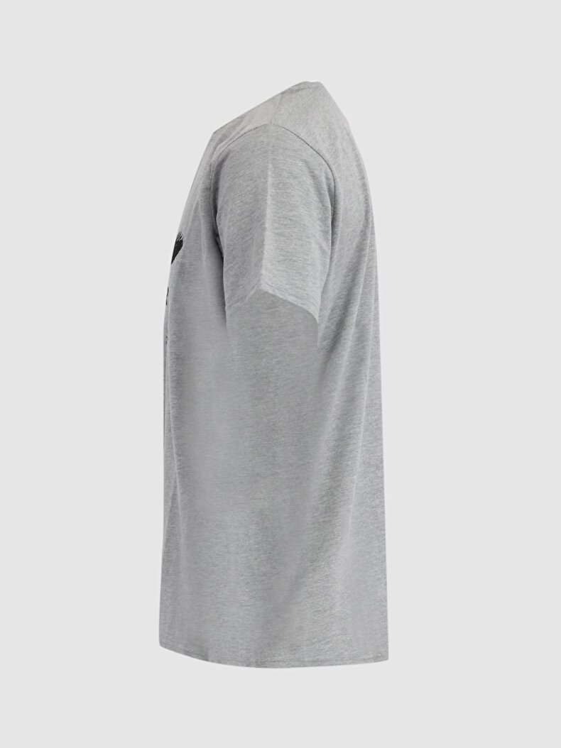 Grey T-shirt