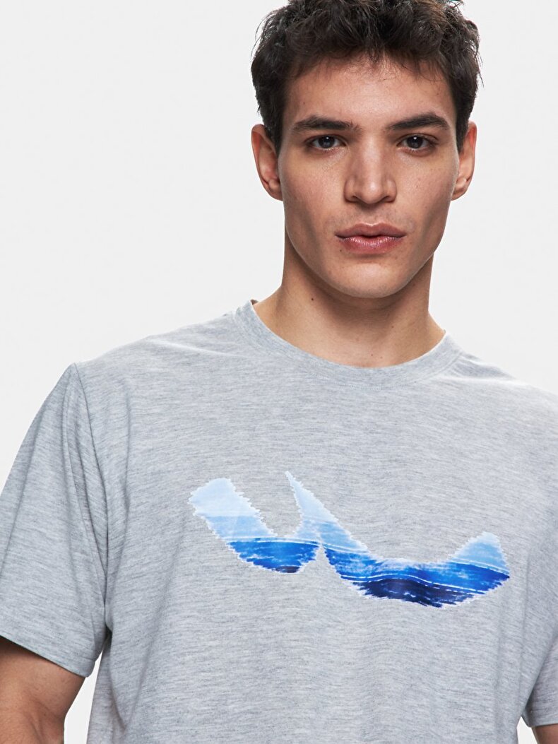 Gri T-shırt