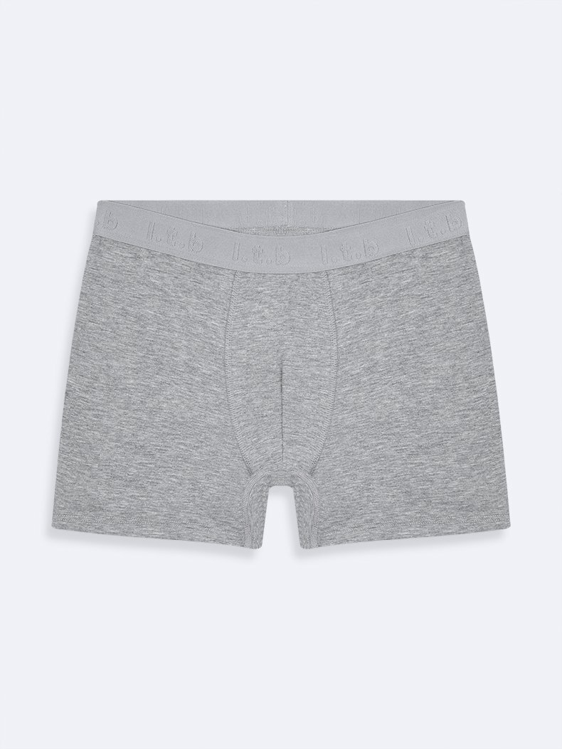Gri Boxer