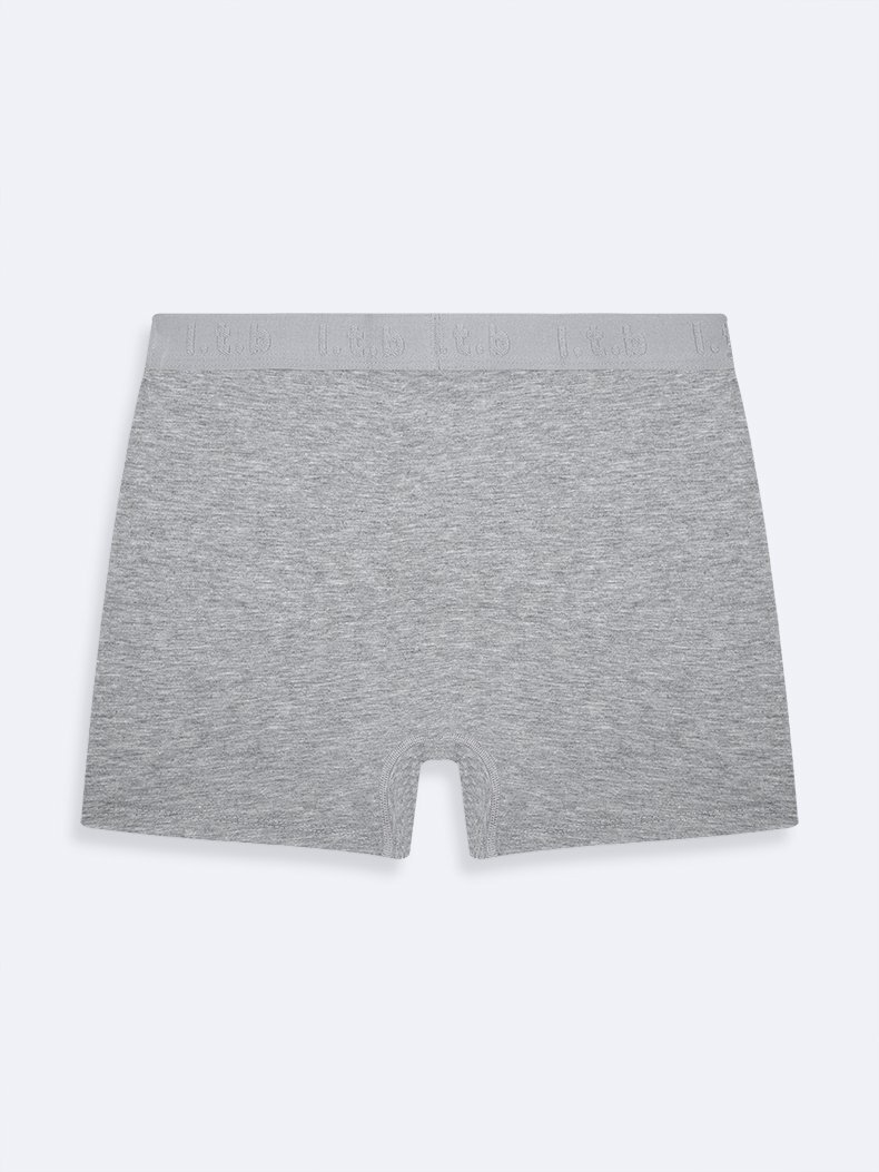 Gri Boxer