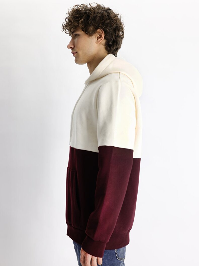 With Hood Sweatshirt