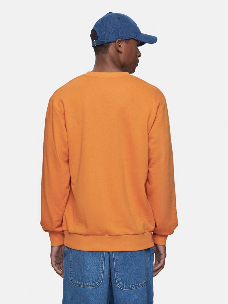 Sweatshırt