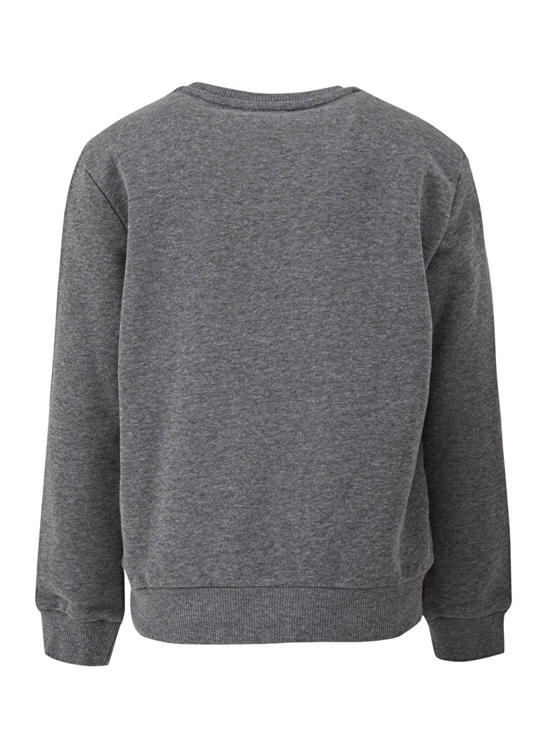 Antraciet Sweatshirt