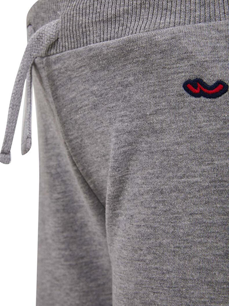 Grijs Shorts